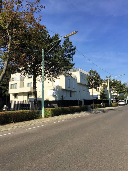 Vienna Compound Housing: Upper Compound Vienna Compound Housing: Upper Compound