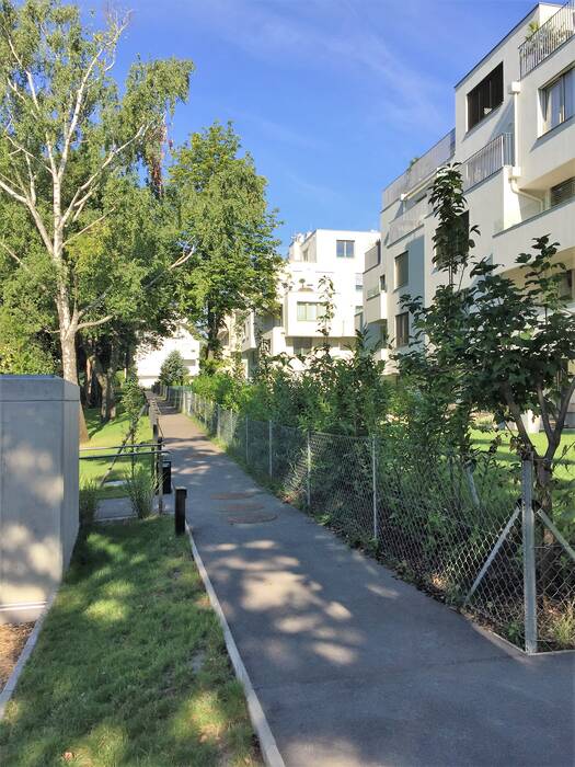 Vienna Compound Housing: Upper Compound Vienna Compound Housing: Upper Compound